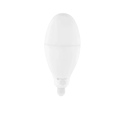 FLORA BULB