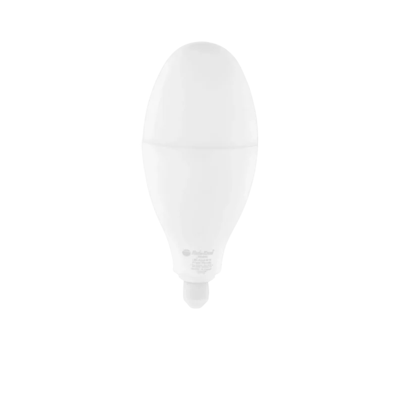 FLORA BULB