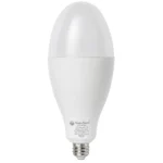 FLORA BULB 60W