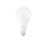 STANDARD BULB A55 5W